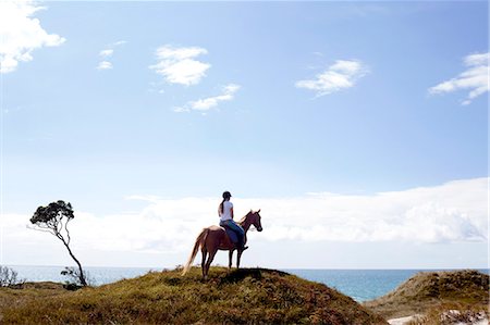 Horse rider on hilltop, Pakiri Beach, Auckland, New Zealand Foto de stock - Royalty Free Premium, Número: 614-07911661