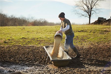 simsearch:614-08065938,k - Mature male farmer pouring grain into feeding trough in field Stock Photo - Premium Royalty-Free, Code: 614-08065934