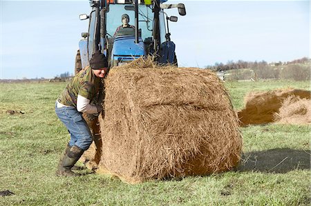 father and son photo on farm - Mature farmer rolling hay stack in dairy farm field Stock Photo - Premium Royalty-Free, Code: 614-08065940