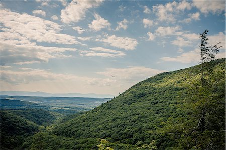 Bird over a New England valley, Berkshire County, Massachusetts, USA Stockbilder - Premium RF Lizenzfrei, Bildnummer: 614-08066224