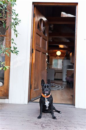 Portrait of dog sitting in front of open front door Stock Photo - Premium Royalty-Free, Code: 614-08081237