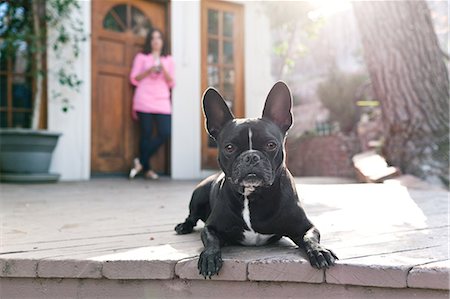 people front door - Portrait of dog lying on patio Stock Photo - Premium Royalty-Free, Code: 614-08081246