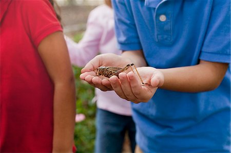 simsearch:614-08081400,k - Children observing grasshopper in garden Stock Photo - Premium Royalty-Free, Code: 614-08081401