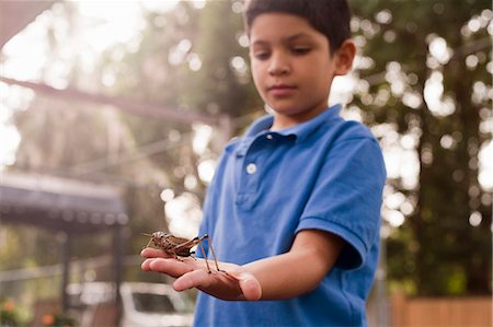school biology - Boy observing grasshopper in garden Stock Photo - Premium Royalty-Free, Code: 614-08081402