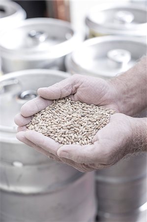 simsearch:614-08119905,k - Brewer's hands filled with grain, kegs in the background Fotografie stock - Premium Royalty-Free, Codice: 614-08119914