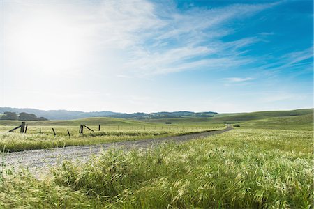 Field landscape and dirt track, Santa Barbara, California, USA Foto de stock - Sin royalties Premium, Código: 614-08126633