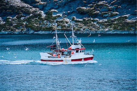 fishing - Fishing boat on sea, Reine, Norway Foto de stock - Sin royalties Premium, Código: 614-08126837