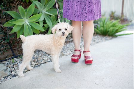 simsearch:614-07031953,k - Mid adult woman standing with dog, outdoors, low section Stock Photo - Premium Royalty-Free, Code: 614-08148314