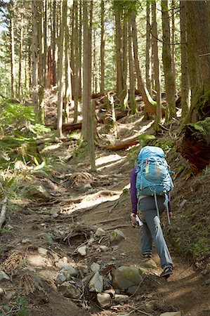 seattle - Female backpacker hiking in woods Photographie de stock - Premium Libres de Droits, Code: 614-08148359