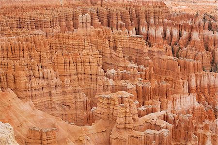 pattern nature - Detail of rock formation in Bryce Canyon National Park, Utah, USA Photographie de stock - Premium Libres de Droits, Code: 614-08201966