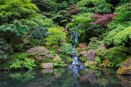 scenic landscape united states - Japanese Garden, Portland, Oregon, USA Foto de stock - Sin royalties Premium, Código: 614-08219907
