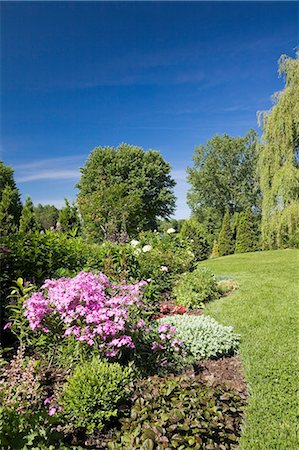 simsearch:614-08220107,k - Garden lawn with border of various plants, shrubs and flowers including pink phlox carolina 'Bill Baker' flowers in spring season Stock Photo - Premium Royalty-Free, Code: 614-08220106