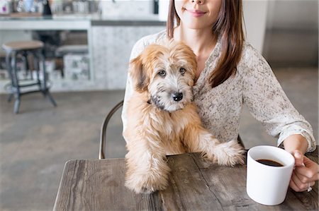 Portrait of puppy sitting on female owners knee at kitchen table Stock Photo - Premium Royalty-Free, Code: 614-08270079