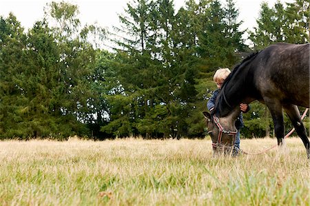 simsearch:614-06336452,k - Small boy with pony in field Stock Photo - Premium Royalty-Free, Code: 614-08270361