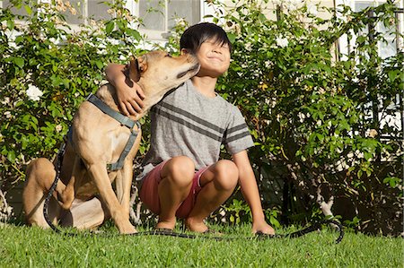 dog licking face - Dog licking boys face in garden Stock Photo - Premium Royalty-Free, Code: 614-08270473