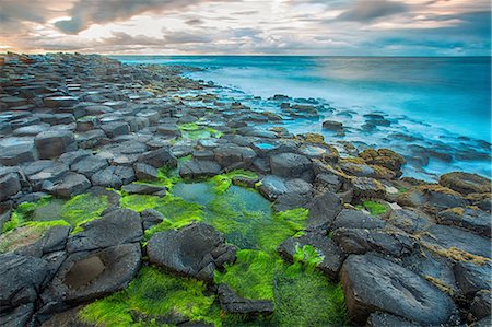 High angle view of moss covered Giants Causeway and blue ocean, Bushmills, County Antrim, Ireland, UK Stock Photo - Premium Royalty-Free, Code: 614-08307897