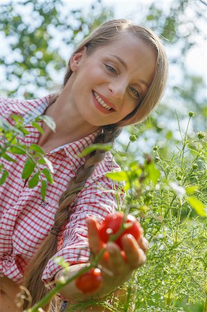 simsearch:614-08880744,k - Mid adult woman in garden, picking tomatoes Stock Photo - Premium Royalty-Free, Code: 614-08308089