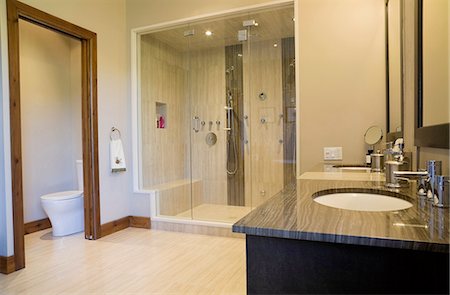 Main bathroom with double steam glass shower stall, vanity and toilet, Quebec, Canada Photographie de stock - Premium Libres de Droits, Code: 614-08329339