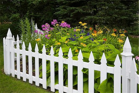 Orange, yellow and purple flowers surrounded by white picket fence Stockbilder - Premium RF Lizenzfrei, Bildnummer: 614-08383637