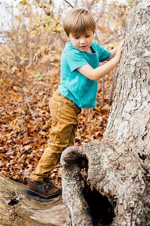 simsearch:614-08487786,k - Young boy in forest, climbing tree Stock Photo - Premium Royalty-Free, Code: 614-08487789