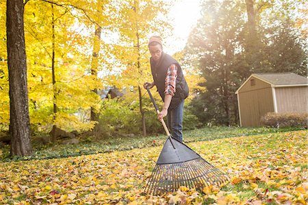 estados de nueva inglaterra - Man raking in autumn leaves garden Foto de stock - Sin royalties Premium, Código: 614-08488030
