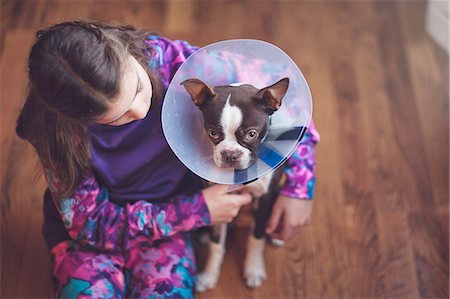 Girl comforting Boston Terrier puppy wearing pet cone Stock Photo - Premium Royalty-Free, Code: 614-08535599