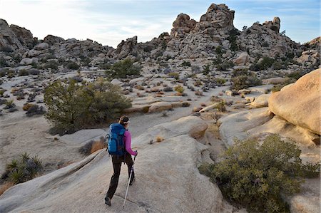 simsearch:6126-09104200,k - Hiker exploring Mojave Desert, Joshua Tree National Park, California Photographie de stock - Premium Libres de Droits, Code: 614-08544759