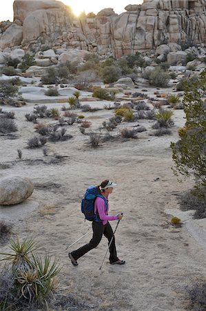 simsearch:6126-09104200,k - Hiker exploring Mojave Desert, Joshua Tree National Park, California Photographie de stock - Premium Libres de Droits, Code: 614-08544761