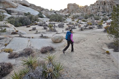 simsearch:6126-09104200,k - Hiker exploring Mojave Desert, Joshua Tree National Park, California Photographie de stock - Premium Libres de Droits, Code: 614-08544762