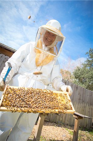 simsearch:614-08826902,k - Portrait of beekeeper holding hive frame with bees Foto de stock - Sin royalties Premium, Código: 614-08544797