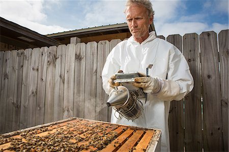 simsearch:614-08826902,k - Beekeeper smoking bees in hive Foto de stock - Sin royalties Premium, Código: 614-08544791