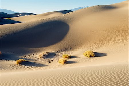 death valley - Desert grass and sand dunes, Death Valley, California, USA Stock Photo - Premium Royalty-Free, Code: 614-08578692