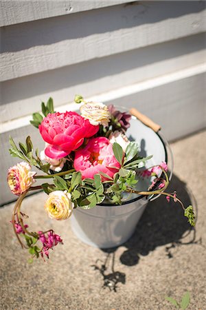 stepping on flowers - Bucket of flowers Stock Photo - Premium Royalty-Free, Code: 614-08641488