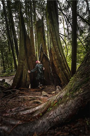 Women in forest by red cedar arms open looking up, Lynn Canyon Park, North Vancouver, British Columbia, Canada Stock Photo - Premium Royalty-Free, Code: 614-08641716