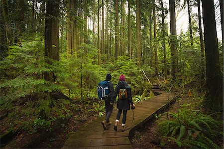 forest woman - Couple in forest on wooden walkway, Lynn Canyon Park, North Vancouver, British Columbia, Canada Stock Photo - Premium Royalty-Free, Code: 614-08641718