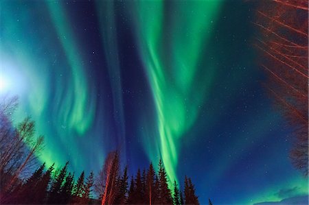 Aurora borealis, Northern Lights above Hot Springs Road, near Chena Resort, near Fairbanks, Alaska Foto de stock - Sin royalties Premium, Código: 614-08641766