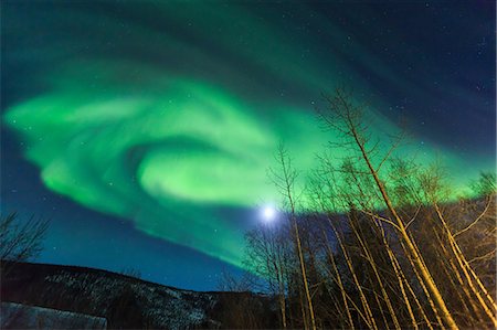 Aurora borealis, Northern Lights near Chena Resort, near Fairbanks, Alaska Foto de stock - Sin royalties Premium, Código: 614-08641767