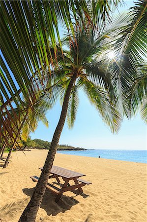 simsearch:614-08641826,k - Golden beach and palm tree's at Hulopo'e Beach Park, Lanai Island, Hawaii, USA Photographie de stock - Premium Libres de Droits, Code: 614-08641831