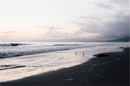 simsearch:649-09004279,k - Beach and seascape at dawn, Morro Bay, California, USA Photographie de stock - Premium Libres de Droits, Code: 614-08720584