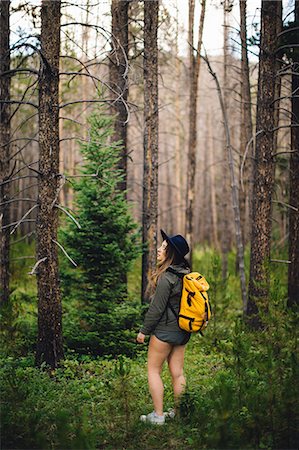 simsearch:614-08926232,k - Woman in forest looking away, Rocky Mountain National Park, Colorado, USA Foto de stock - Sin royalties Premium, Código: 614-08826813