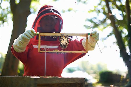 simsearch:614-08826897,k - Female beekeeper holding hive frame Stock Photo - Premium Royalty-Free, Code: 614-08826898