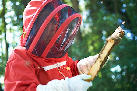 simsearch:614-08826897,k - Beekeeper looking at hive frame Stock Photo - Premium Royalty-Free, Code: 614-08826903