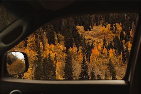 View of autumn forest from car window, Mineral King, Sequoia National Park, California, USA Stock Photo - Premium Royalty-Free, Code: 614-08821398