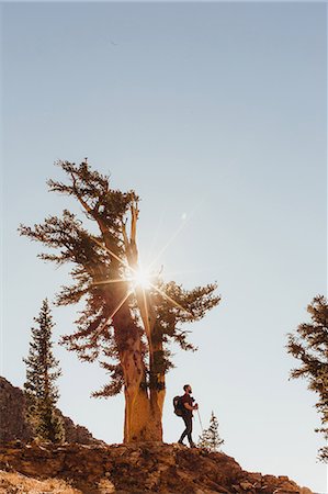 simsearch:614-08873758,k - Male hiker hiking down sunlit mountainside, Mineral King, Sequoia National Park, California, USA Photographie de stock - Premium Libres de Droits, Code: 614-08821408