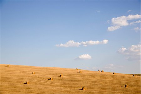 simsearch:614-08867072,k - Field with hay rolls in Tuscany Foto de stock - Sin royalties Premium, Código: 614-08865861