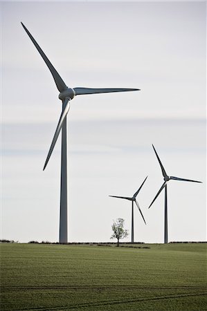 Wind Turbines in green landscape Stock Photo - Premium Royalty-Free, Code: 614-08866360