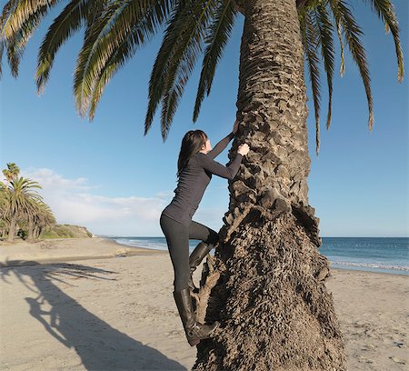 simsearch:841-06342803,k - Woman climbing palm tree on beach Fotografie stock - Premium Royalty-Free, Codice: 614-08866417