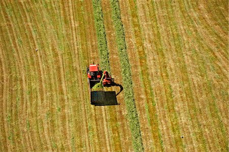 Aerial view of tractor harvesting hay Stock Photo - Premium Royalty-Free, Code: 614-08866571