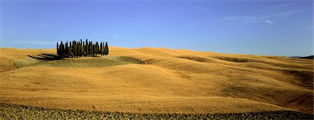 simsearch:614-08867083,k - Orcia valley in summer Photographie de stock - Premium Libres de Droits, Code: 614-08867084