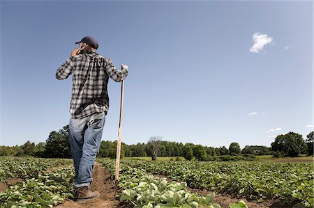 Farmer in field talking on cell phone Stock Photo - Premium Royalty-Free, Code: 614-08867141